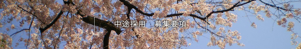 中途採用:募集要項