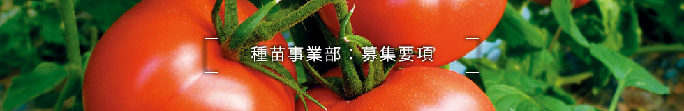 種苗事業部:募集要項